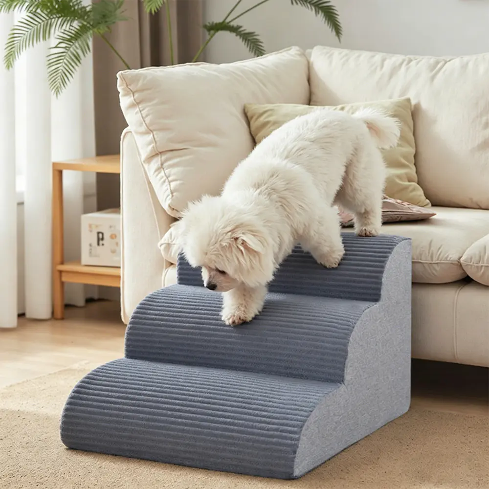 Gray Pet Schody
